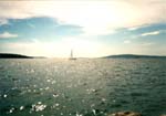 Plachetnice