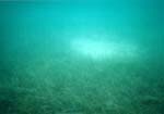 Pod vodou 2